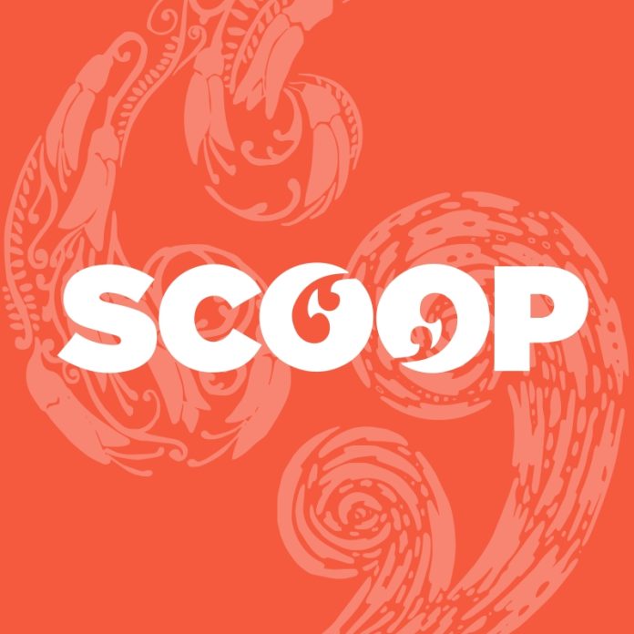  The Kapiti Food Fair |  Scoop News
